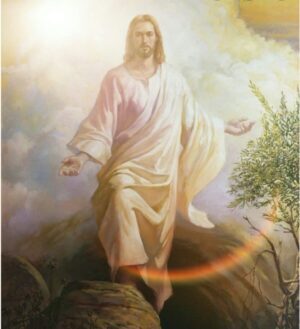 AMICA NEWS: SERVIZI RELIGIOSI