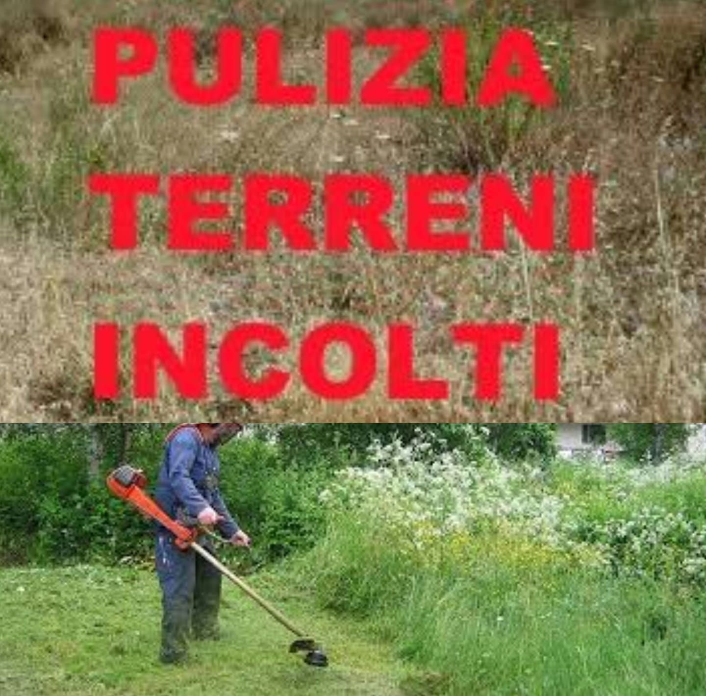Piana Degli Albanesi: “PULIZIA TERRENI”