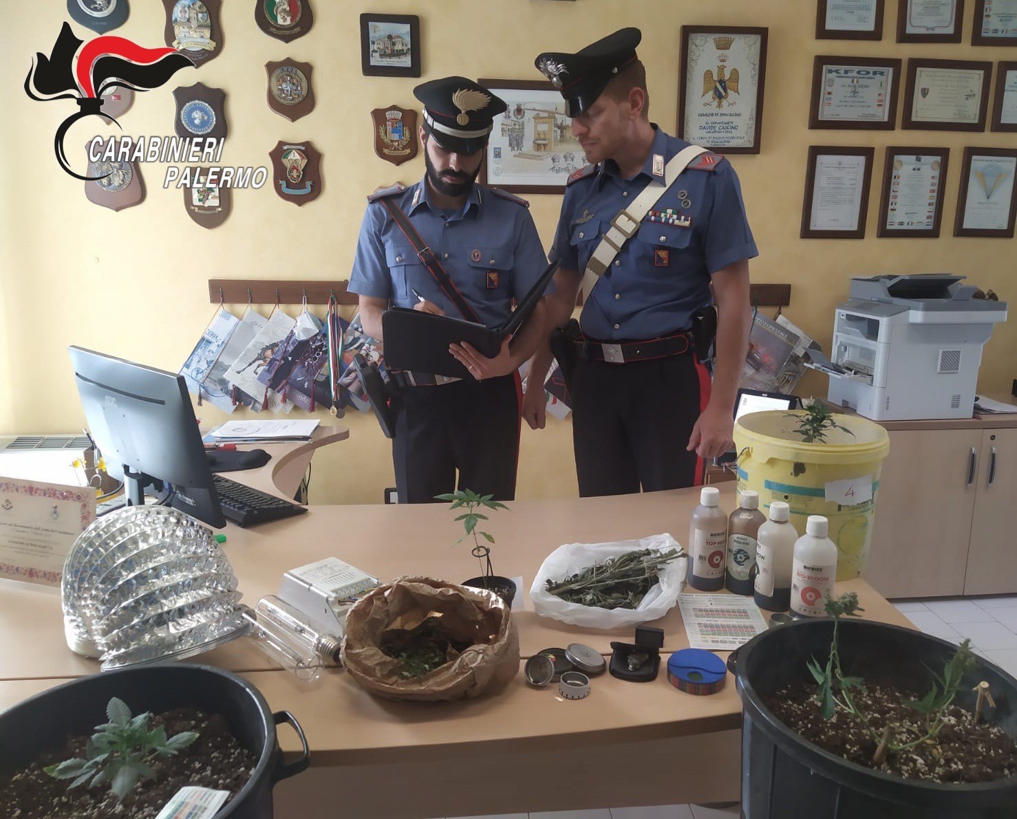 Bolognetta: Piantagione indoor, arrestati padre e figlio