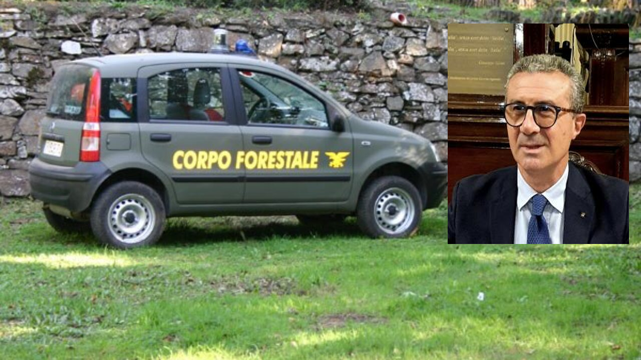 Sicilia: Forestali, via libera alle nuove assunzioni.&hellip;