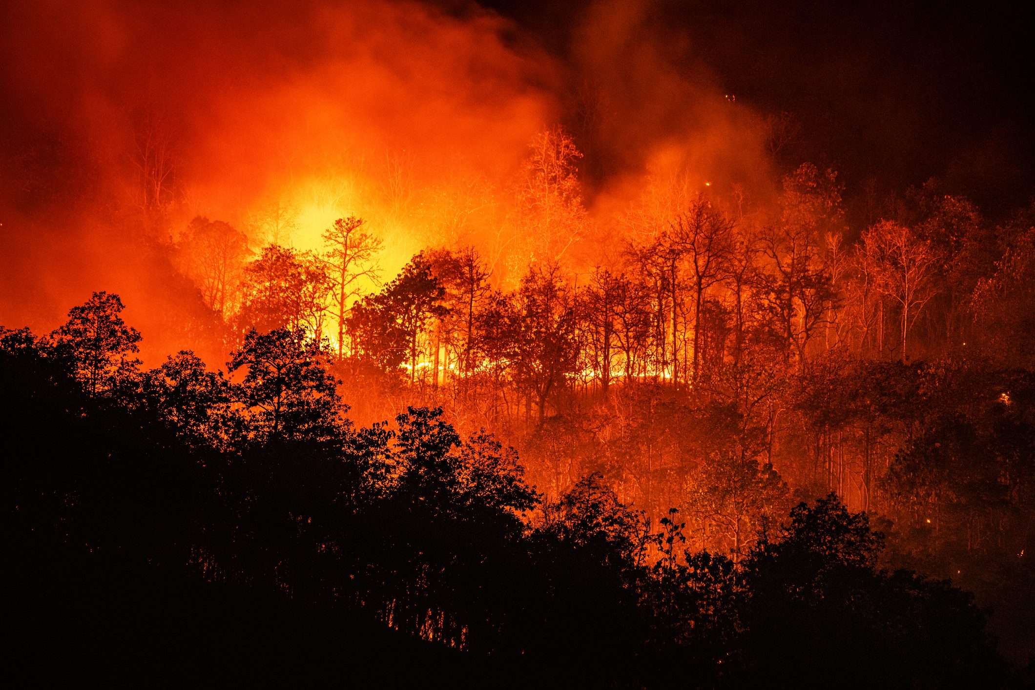 Incendi, sei milioni per la protezione delle&hellip;
