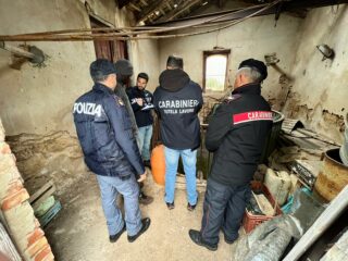 Siracusa, controlli contro il lavoro nero: sospesa un’attività agricola, sanzioni per circa € 83.000