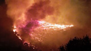 Spento incendio su monte Inici a Castellammare del Golfo: in fumo circa 130 ettari di macchia mediterranea