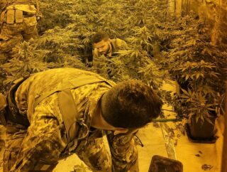 Lentini, sequestrata serra hi-tech per la coltivazione di marijuana: arrestato un 35enne