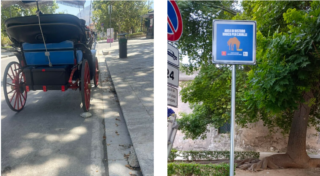 Palermo, sei nuovi punti di fornitura idrica per i cavalli