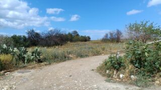 Palermo, i volontari del Gruppo Adorno: “Parco Libero Grassi ostaggio di rifiuti e bracconaggio”