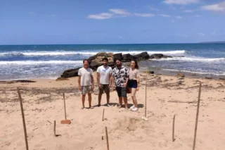 Tartaruga Caretta Caretta depone uova nella spiaggia di Trappeto: l’area è stata recintata