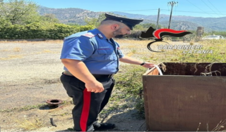 “Rinfresca” gli ortaggi a spese della cittadinanza: denunciato un 69enne di Francavilla di Sicilia
