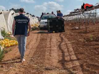 Contrasto al caporalato a Trapani e provincia: sotto l’attività ispettiva dei Carabinieri sono finite 6 imprese di cui 4 risultate irregolari