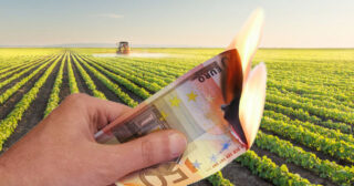 Manovra finanziaria, la DC: “Pochi fondi per l’agricoltura, presentati due nuovi emendamenti. Adesso tocca al Parlamento approvarli”