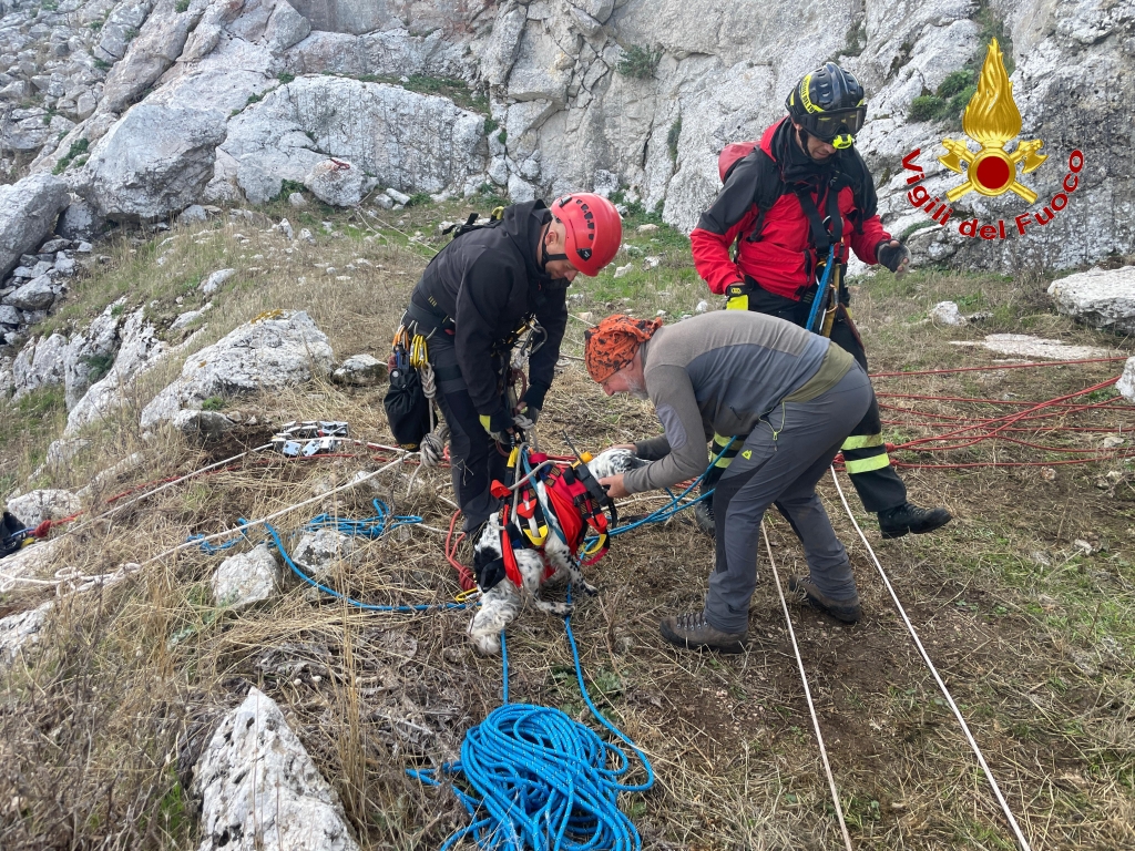 Piana degli Albanesi: salvataggio a Monte Kumeta, VVF Recuperano un Cane Bloccato in una Scarpata