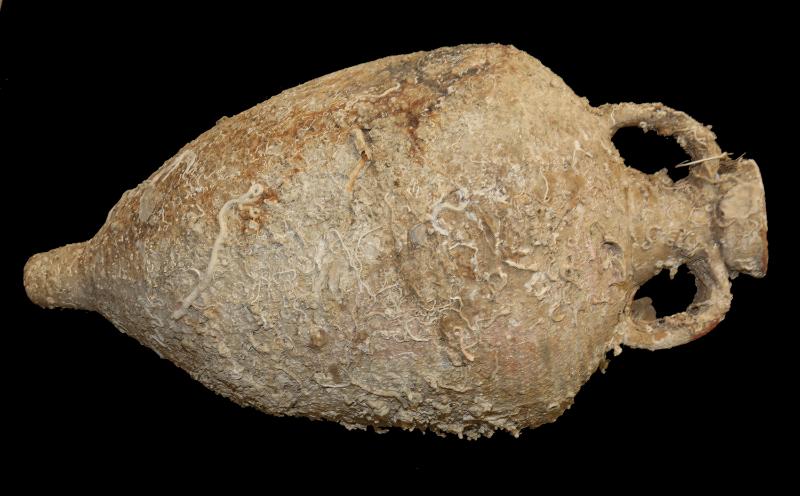 Tesori sommersi della Sicilia in mostra negli Stati Uniti: la civiltà mediterranea sbarca oltreoceano