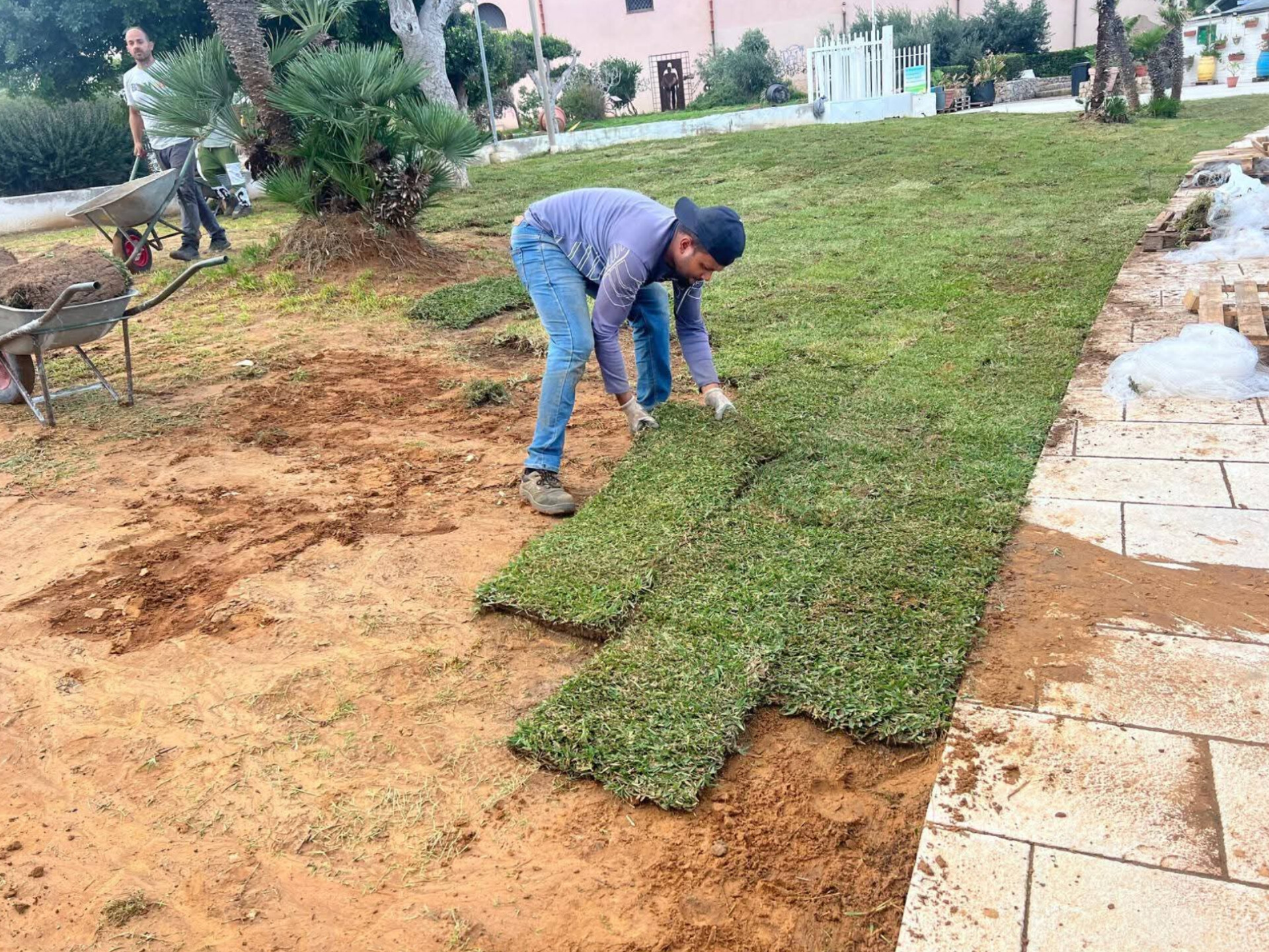 Terrasini si rifà il look: nuovo manto erboso sul lungomare