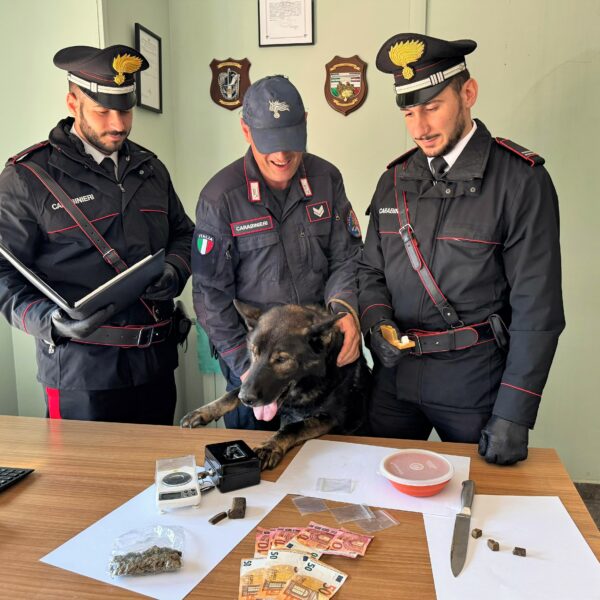Pioppo e Monreale, contrasto allo spaccio