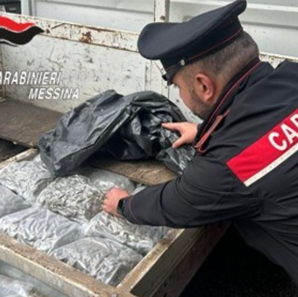Messina, sequestrati oltre 10 chili di marijuana:&hellip;