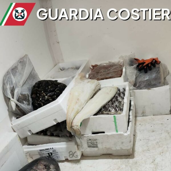Operazione “Calypso”: Guardia Costiera in azione contro&hellip;