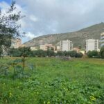 Trapani Green: finanziamento da 475 mila euro per mitigare i cambiamenti climatici