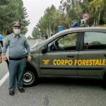 ARS approva piano forestale: oltre 873 milioni per il triennio 2026-2028