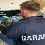 Catania, 26enne arrestato per spaccio: sequestrati oltre 700 grammi di marijuana