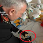Acireale, pusher arrestato due volte in cinque giorni: nascondeva cocaina e crack sotto la culla della figlia