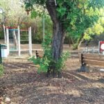 Catania, Parco Gioeni: riaperti i servizi igienici, completata la riqualificazione