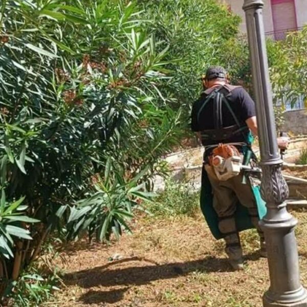 Giardinello, il sindaco ringrazia gli operai forestali&hellip;
