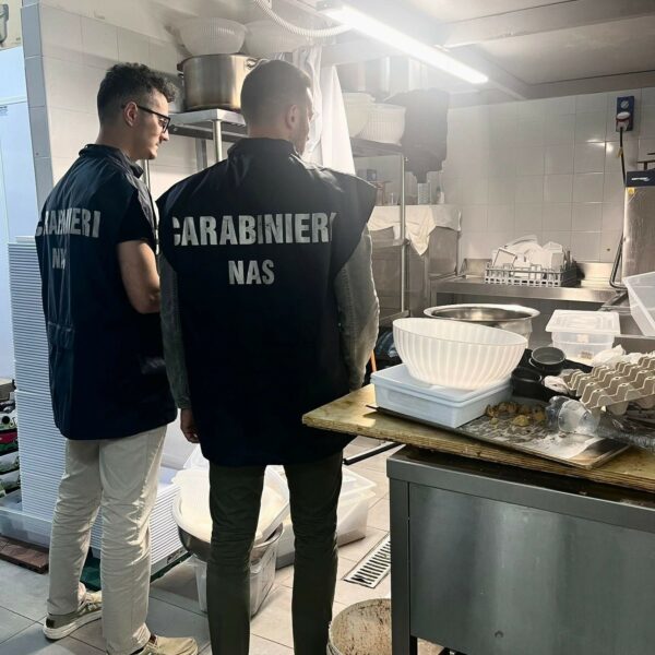 Palermo, blitz dei Carabinieri NAS e NIL&hellip;