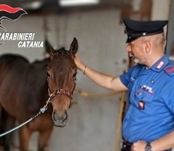 Belpasso, scoperta officina abusiva: sequestrato anche un&hellip;