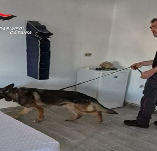 Biancavilla, il cane antidroga scopre il nascondiglio:&hellip;
