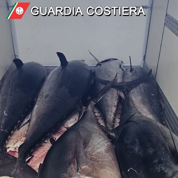 Catania, maxi‑operazione della Guardia Costiera nella campagna&hellip;