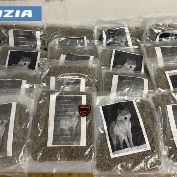 Catania, borsone con 20 chili di marijuana&hellip;