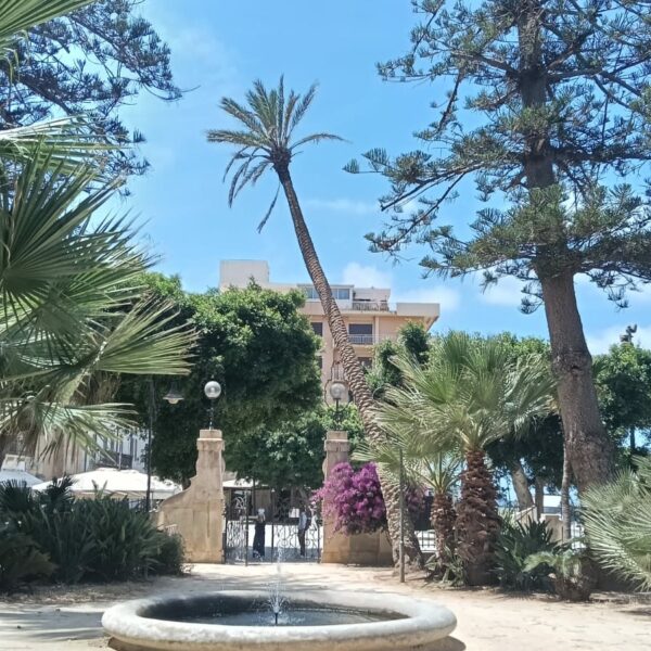 Marsala, palma pericolante a Villa Cavallotti: chiuso&hellip;