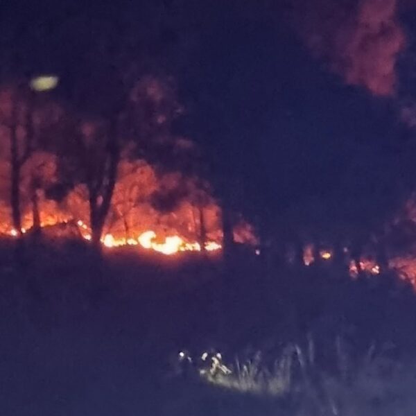 Sicilia d’inferno: decine di incendi in tutta&hellip;
