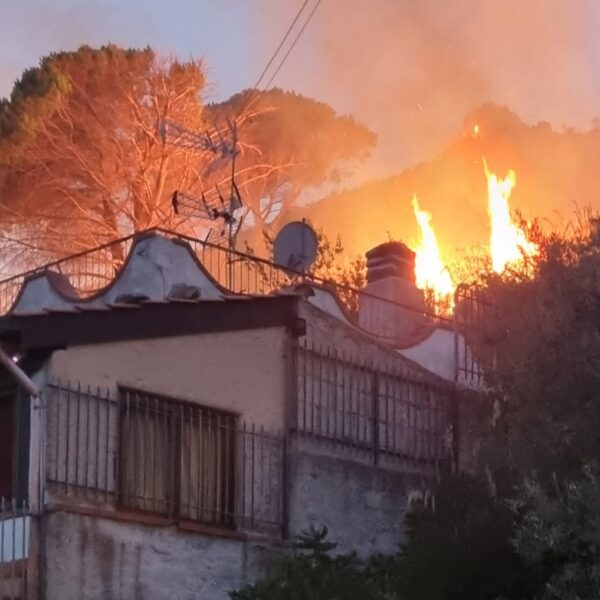 Montelepre, una notte di fuoco e paura:&hellip;