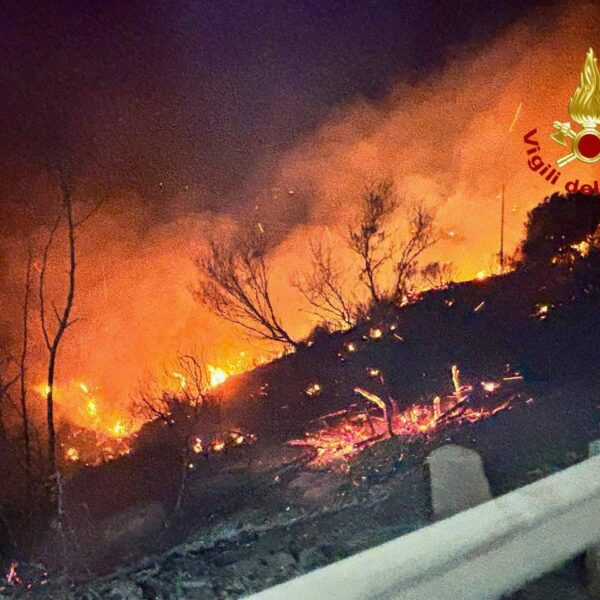 Emergenza incendi a Palermo e provincia: oltre&hellip;