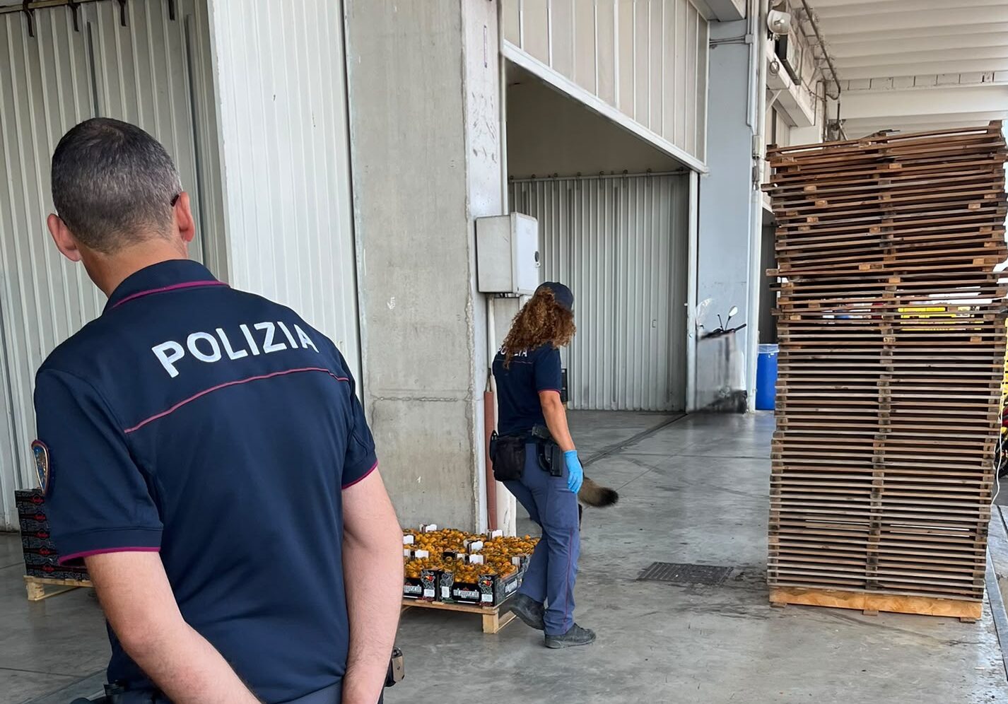 Vittoria, operazione di prevenzione e controllo del&hellip;