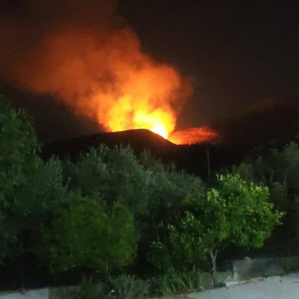 Montelepre, Terranova: «Incendio appiccato in cima al&hellip;