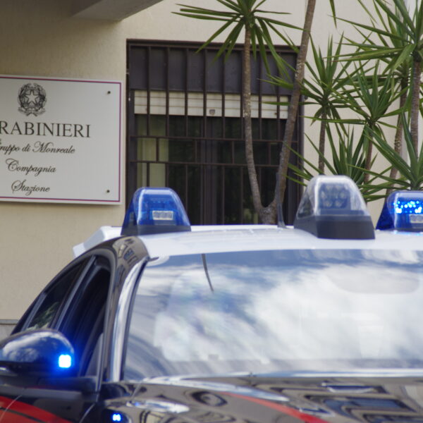 Monreale, controlli a tappeto dell’Arma: 7 denunce,&hellip;