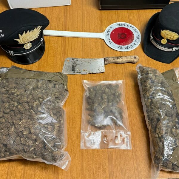 Campobello di Mazara, 1,25 kg di marijuana&hellip;