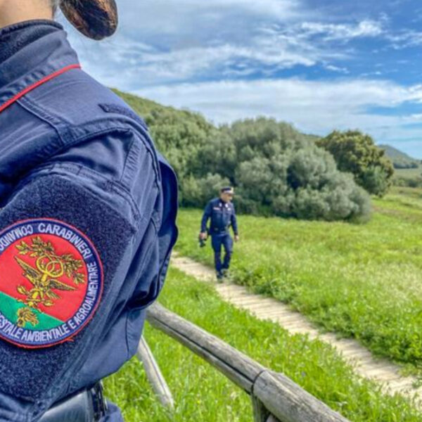 Palermo – denunciato soggetto che deteneva in&hellip;