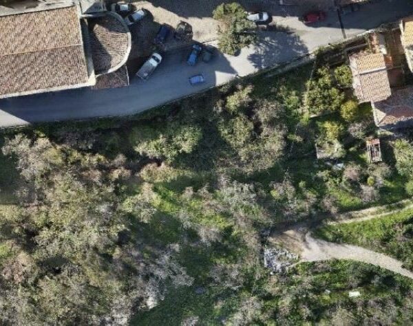 San Salvatore di Fitalia, al via il&hellip;