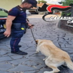 Catania, controlli antidroga nel quartiere Librino: arrestato 41enne e denunciato un minorenne