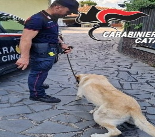 Catania, controlli antidroga nel quartiere Librino: arrestato&hellip;