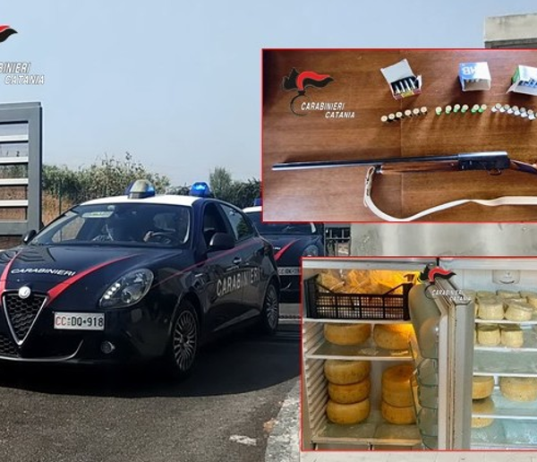 Catania, masseria sotto sequestro: trovati fucile, 72&hellip;
