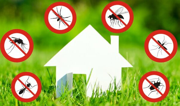 Trappeto, il 17 luglio intervento di disinfestazione&hellip;