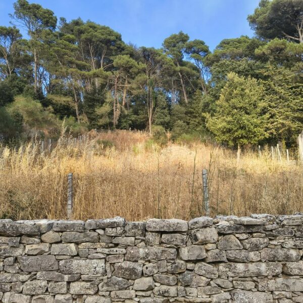 Riserva Bosco d’Alcamo, quasi 400mila euro di&hellip;