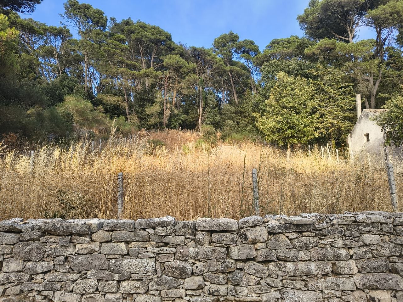 Riserva Bosco d’Alcamo, quasi 400mila euro di&hellip;
