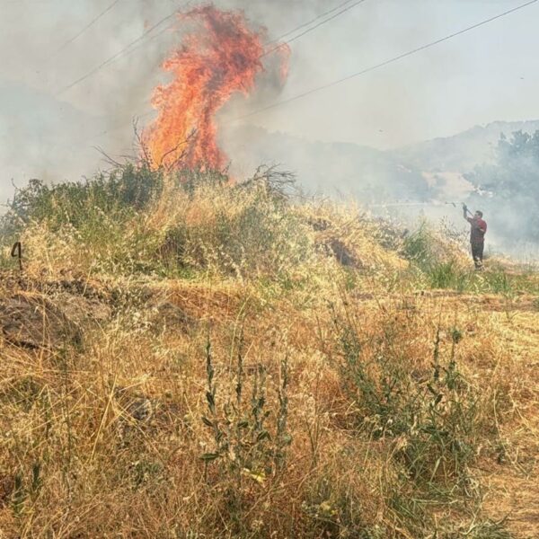 Catania, incendi di sterpaglie in tutta la&hellip;