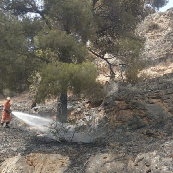 🔥 Castellammare del Golfo: Spenti due incendi&hellip;