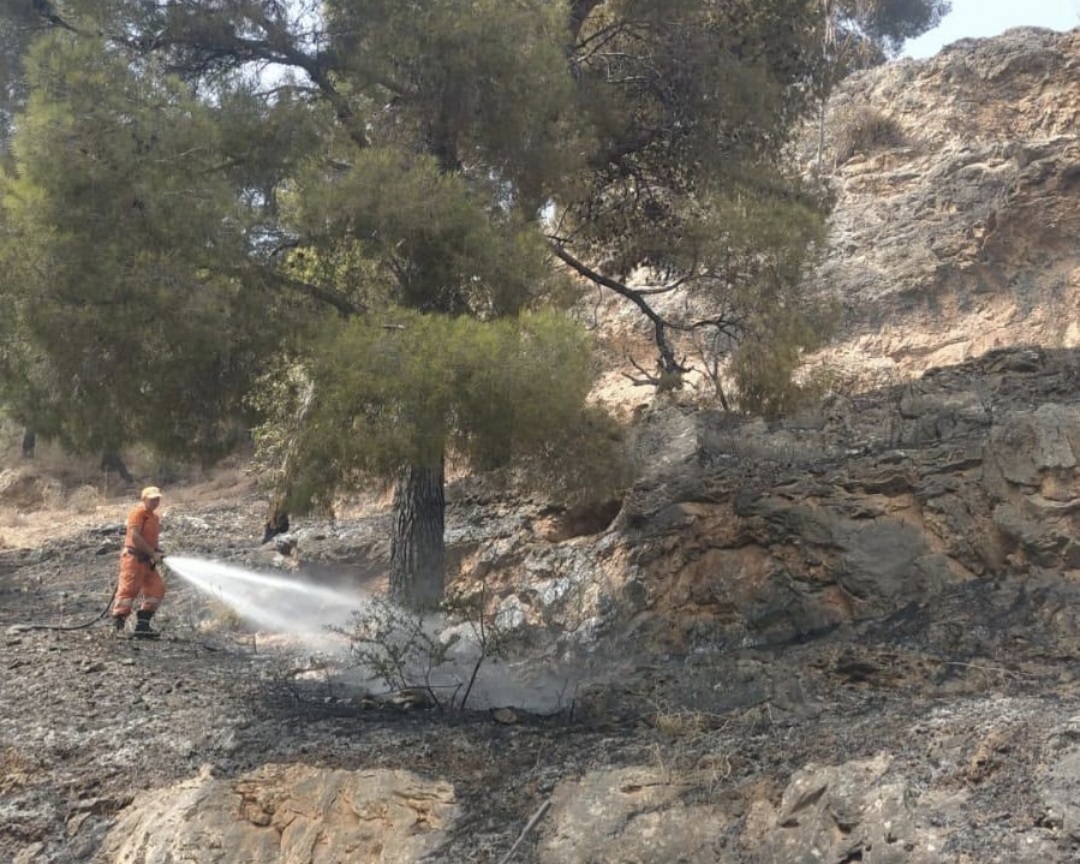 🔥 Castellammare del Golfo: Spenti due incendi&hellip;